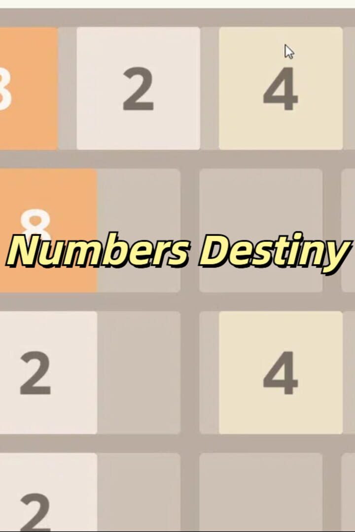 Couverture de Numbers Destiny