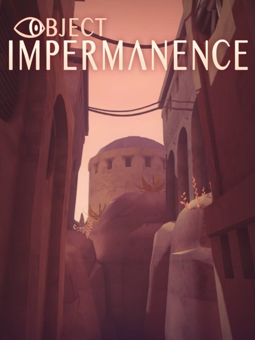 Object Impermanence Cover