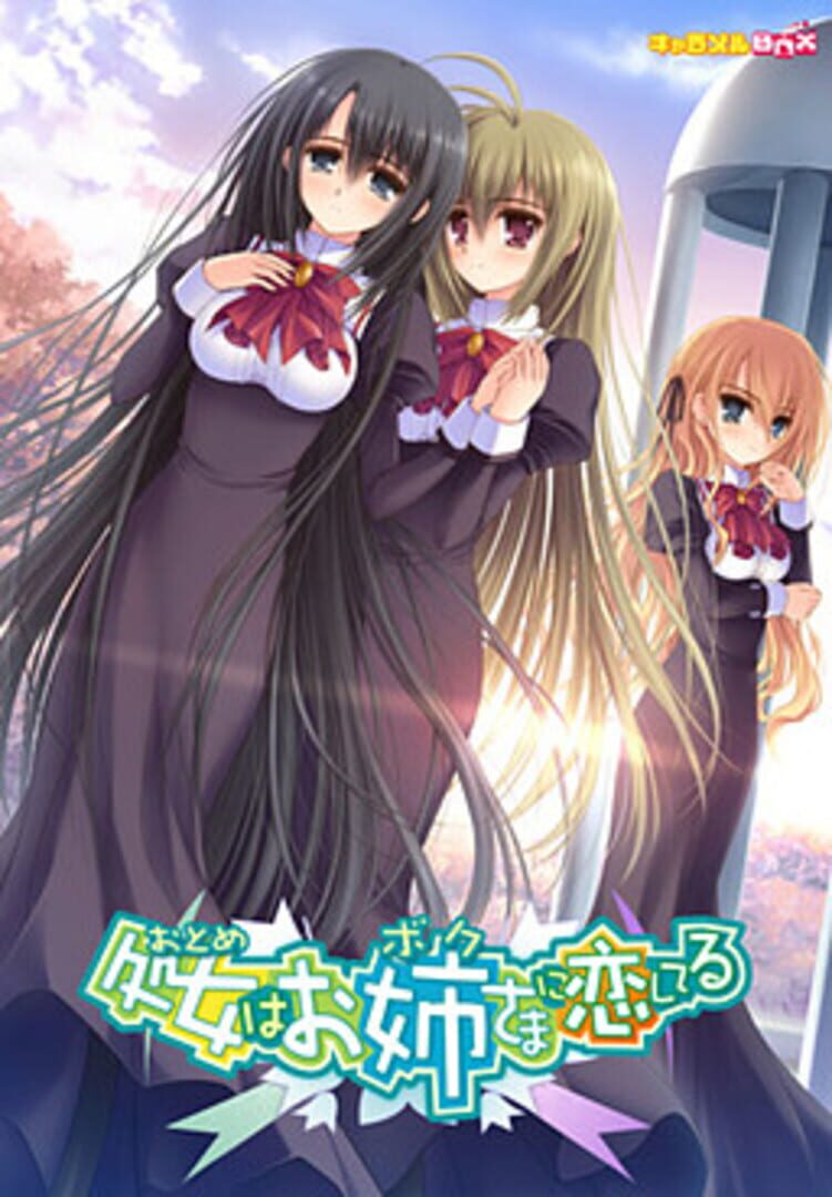 Portada de Otome wa Boku ni Koishiteru