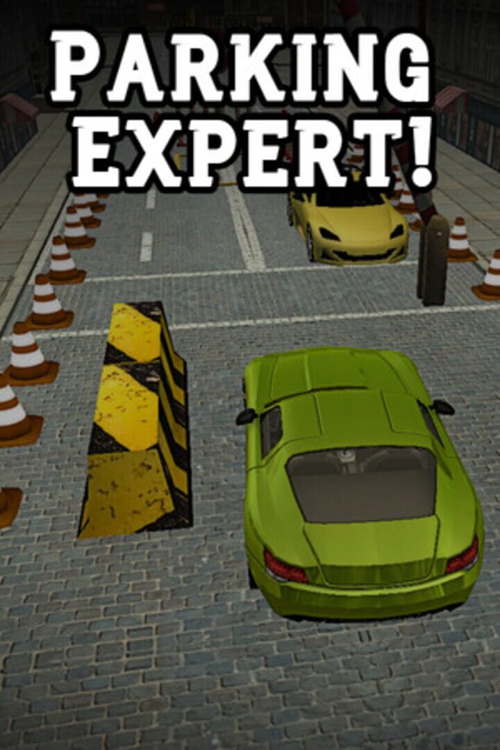 Portada de Parking Expert!