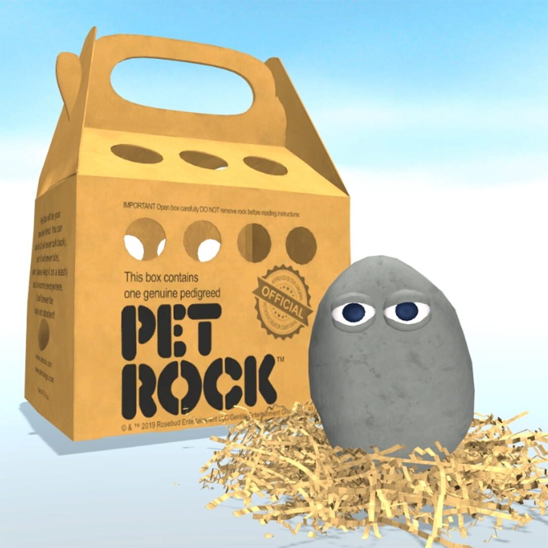 Pet Rock Kapağı