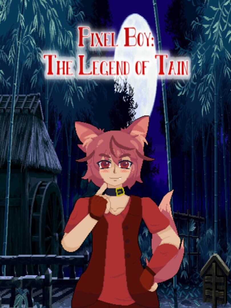 Capa de Pixel Boy: The Legend of Tain