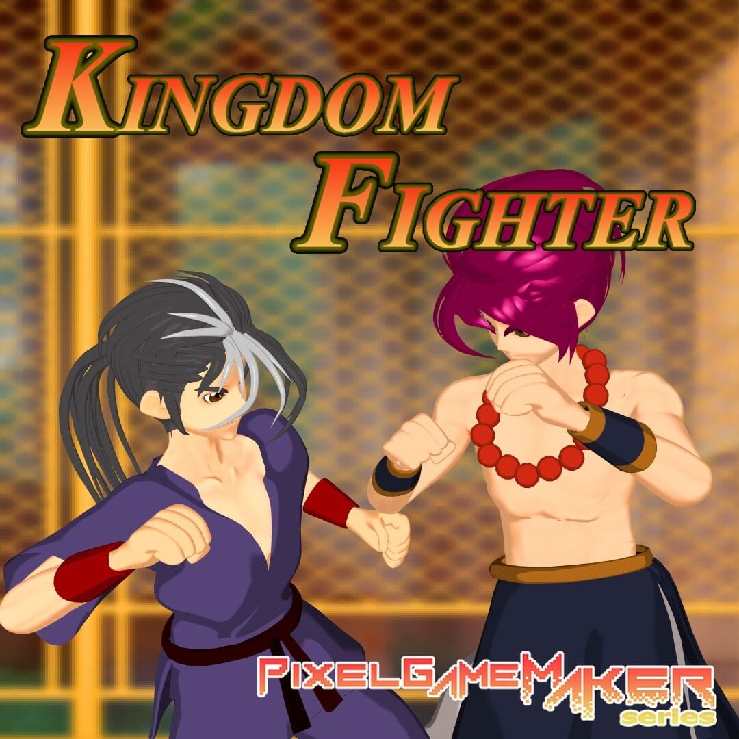 Couverture de Pixel Game Maker Series: Kingdom Fighter
