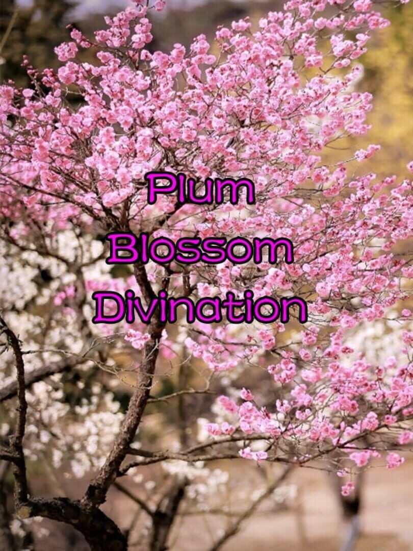 Plum Blossom Divination 커버