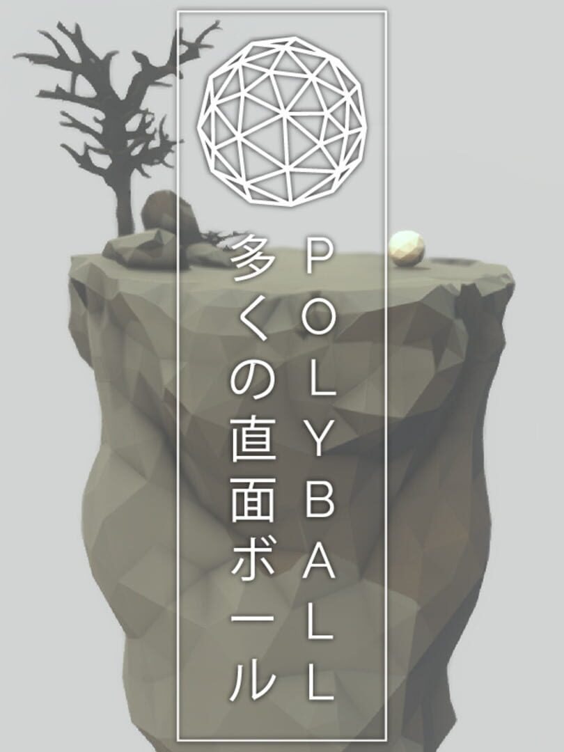 Polyball Cover