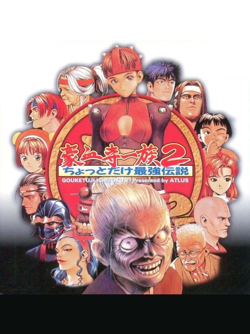Power Instinct 2: A Slightly Stronger Legend カバー