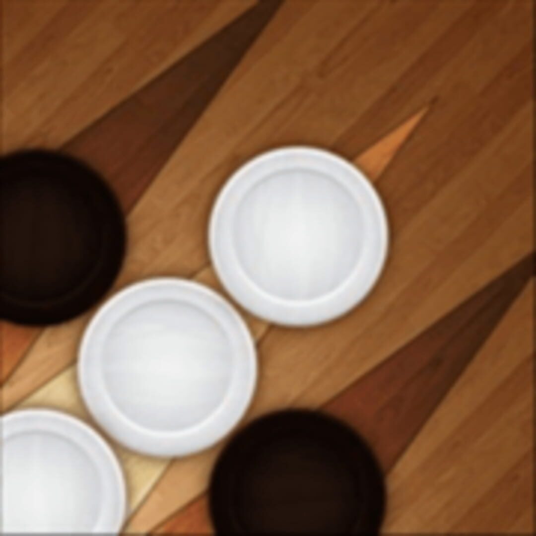Pro Backgammon Cover
