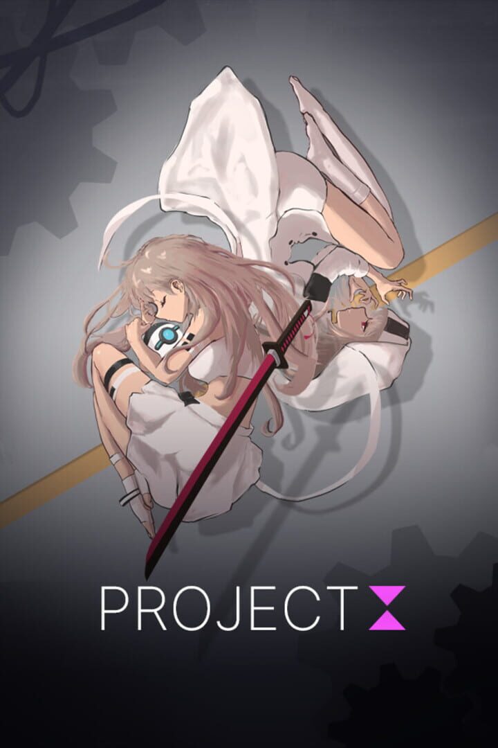 Project I Cover