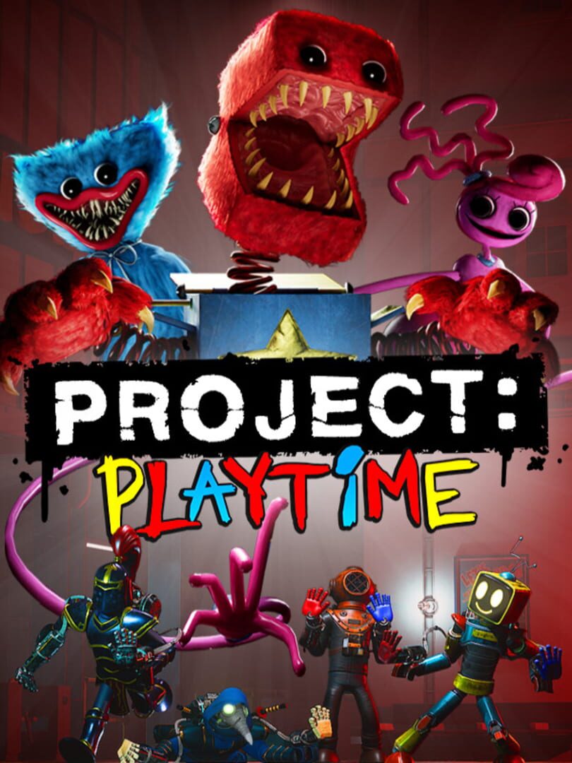 Project: Playtime Cover
