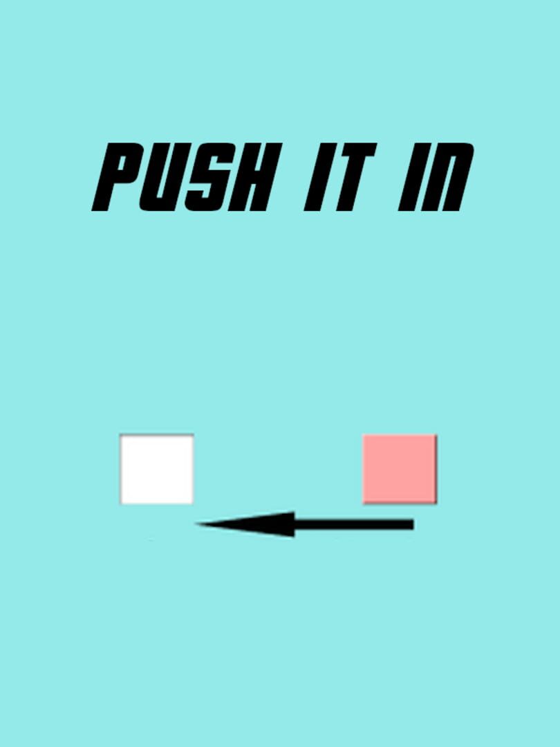 Capa de Push It In