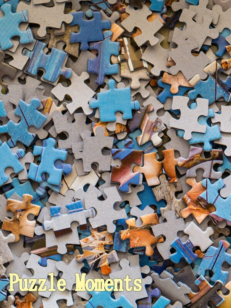 Couverture de Puzzle Moments