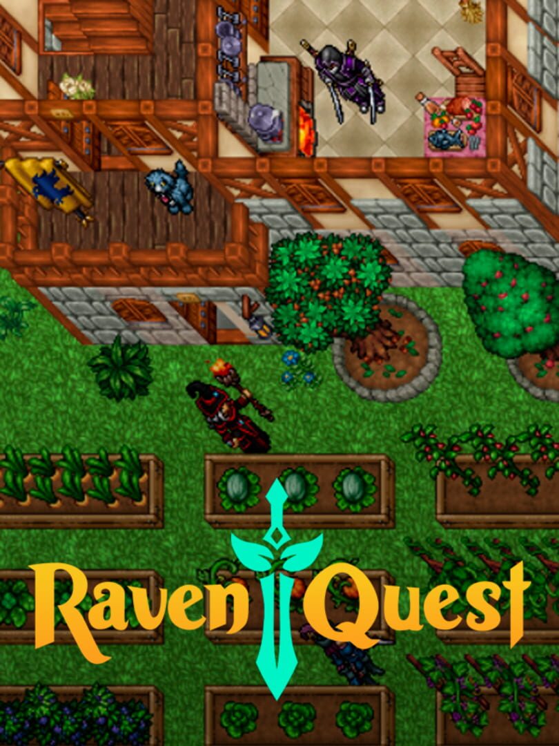 Couverture de RavenQuest