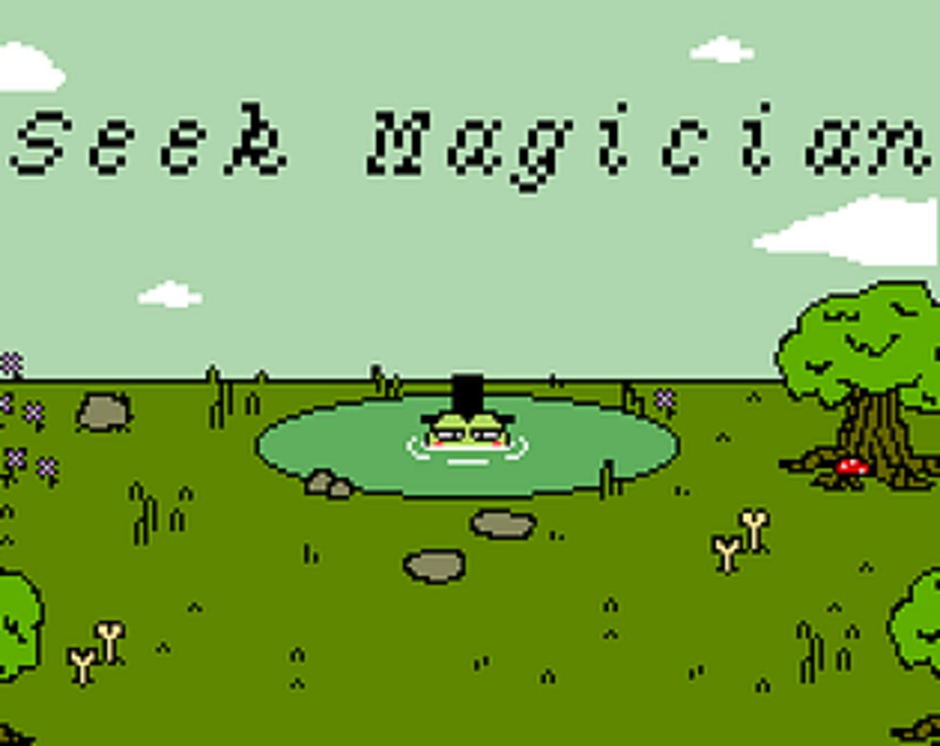 Portada de Seek Magician