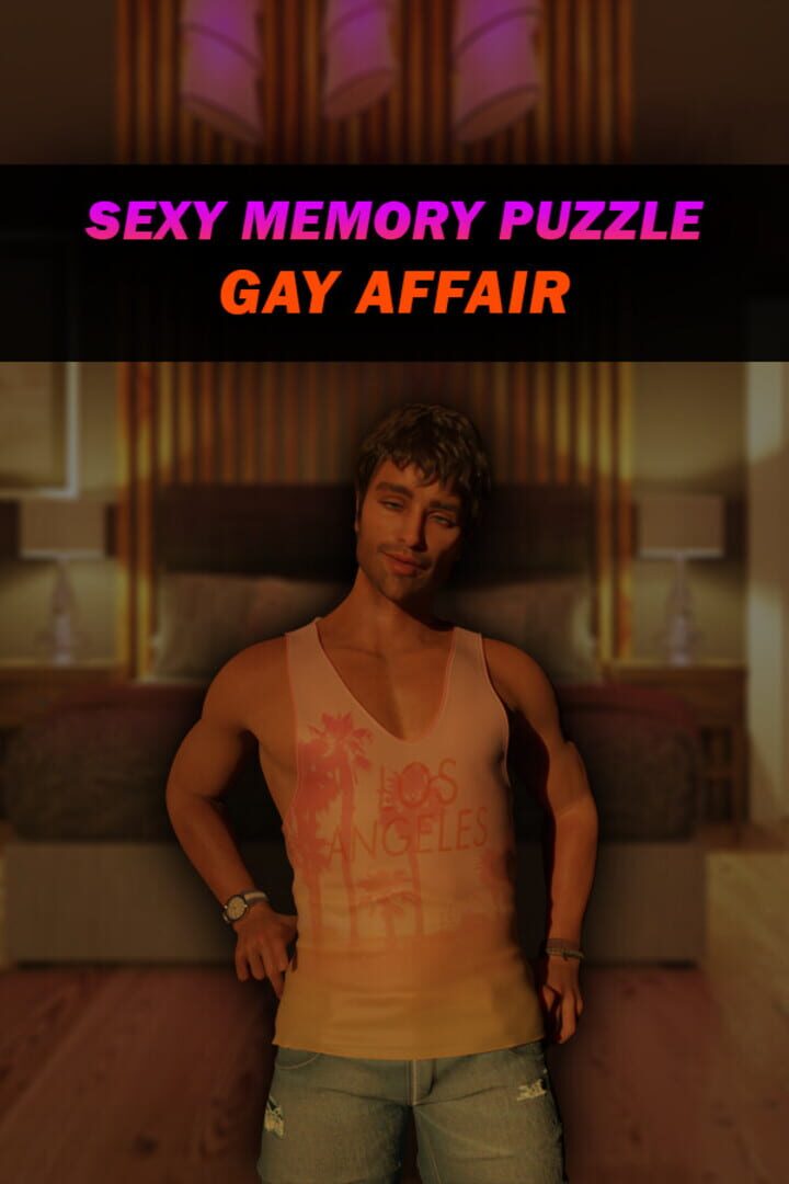 Capa de Sexy Memory Puzzle: Gay Affair