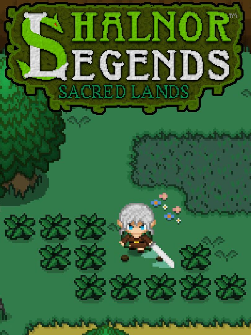 Portada de Shalnor Legends: Sacred Lands