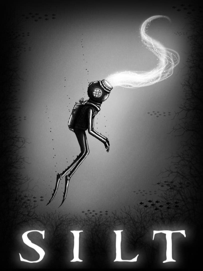 Capa de Silt