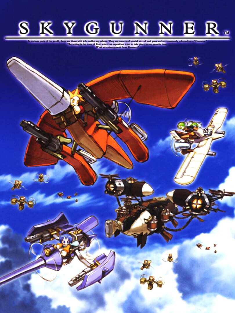 SkyGunner 커버