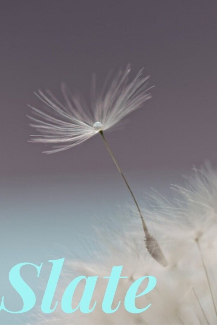 Capa de Slate