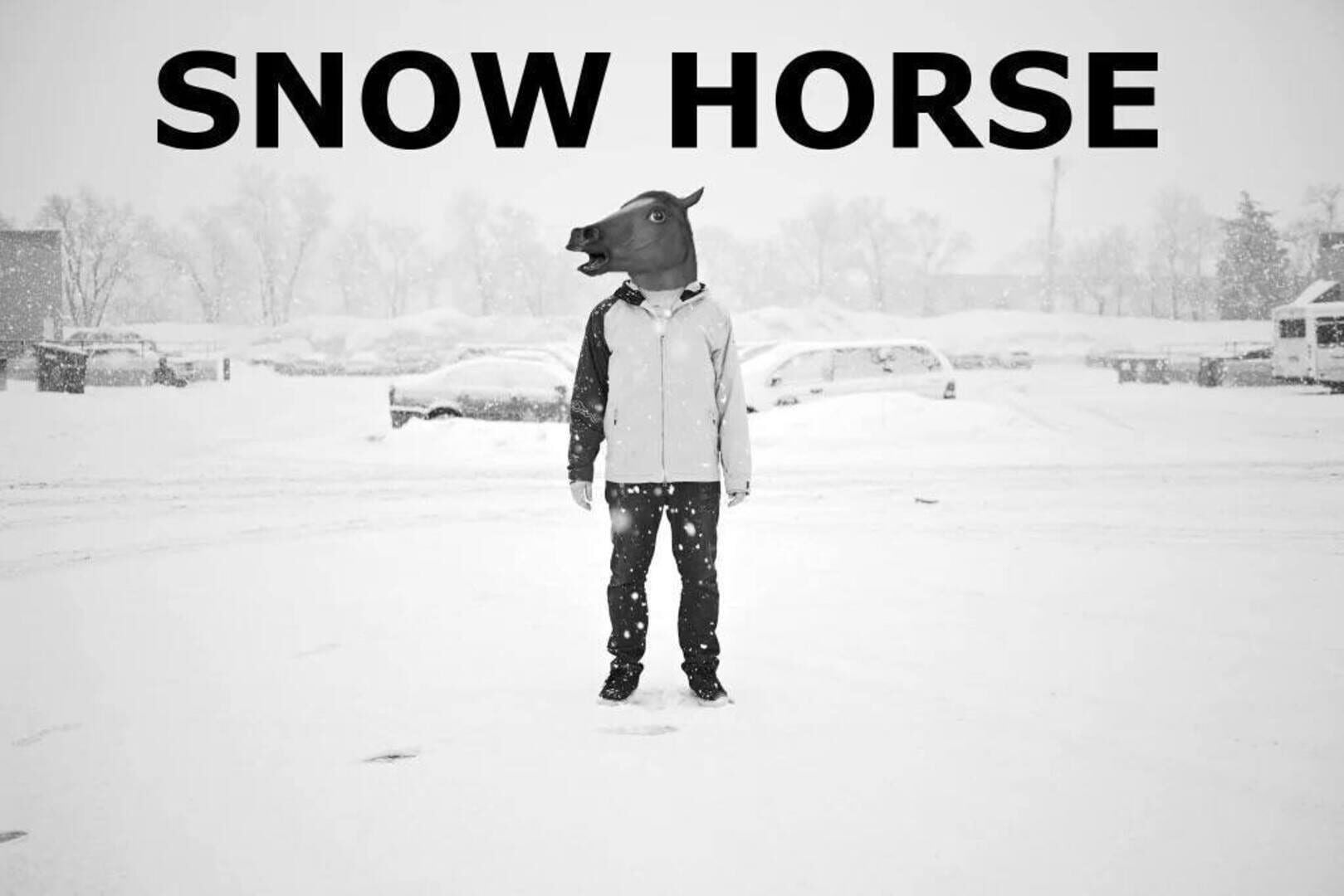Couverture de Snow Horse