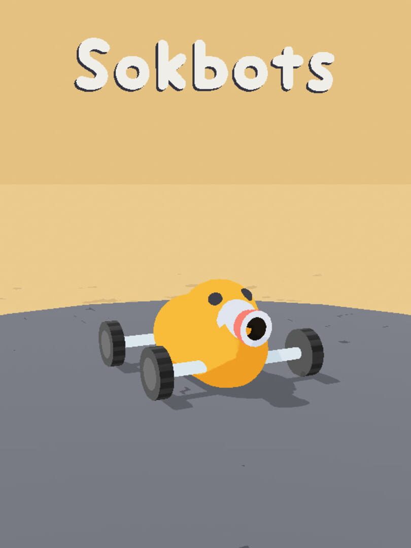 Sokbots Cover