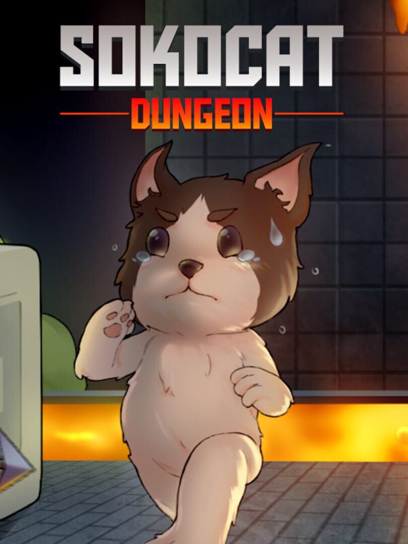 Sokocat: Dungeon カバー