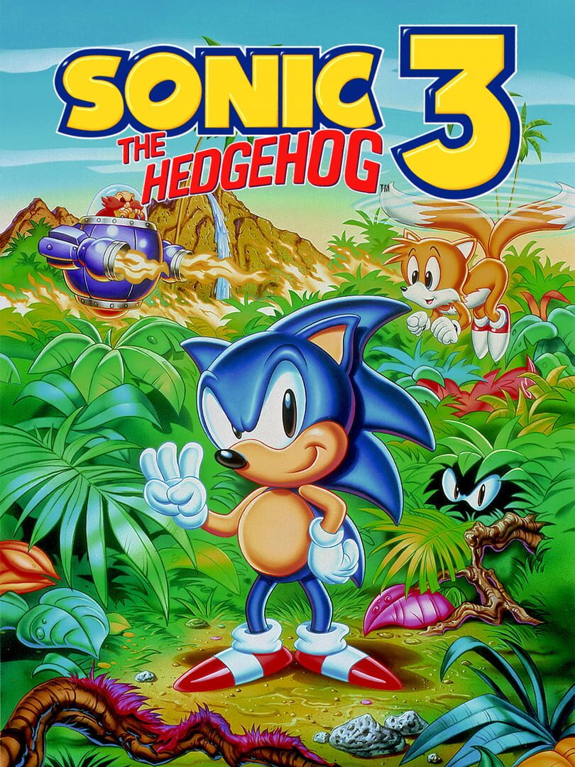 Couverture de Sonic the Hedgehog 3