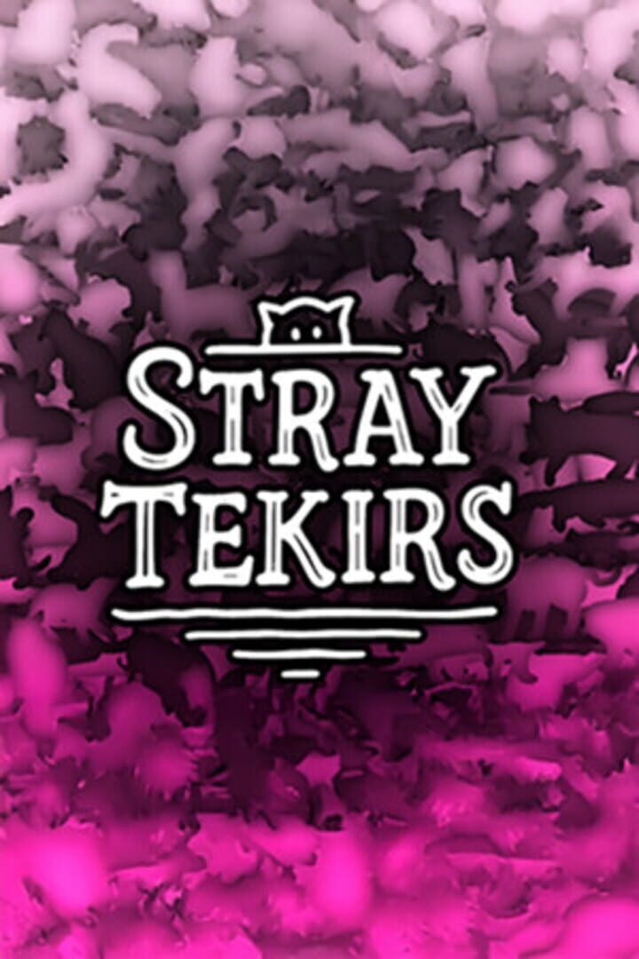 Portada de Stray Tekirs