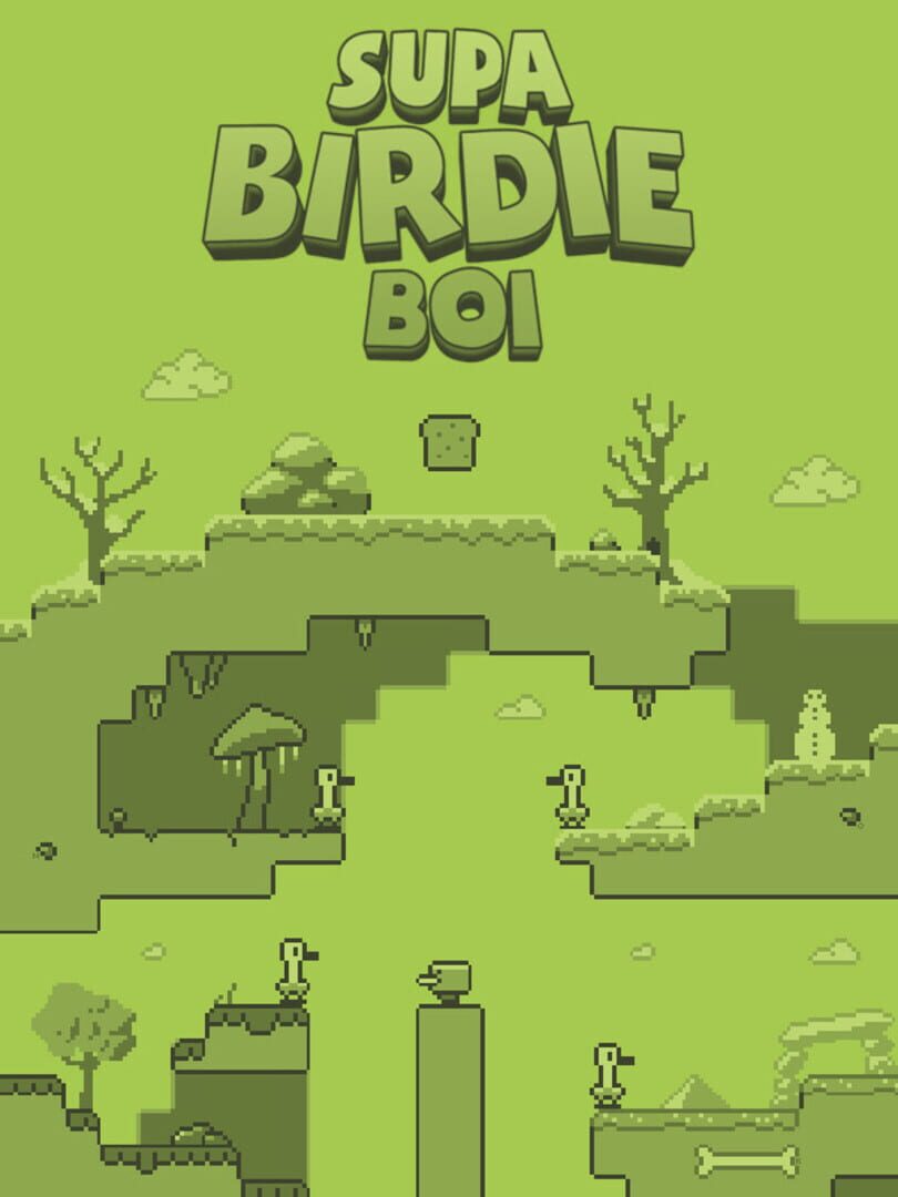 Supa Birdie Boi Kapağı