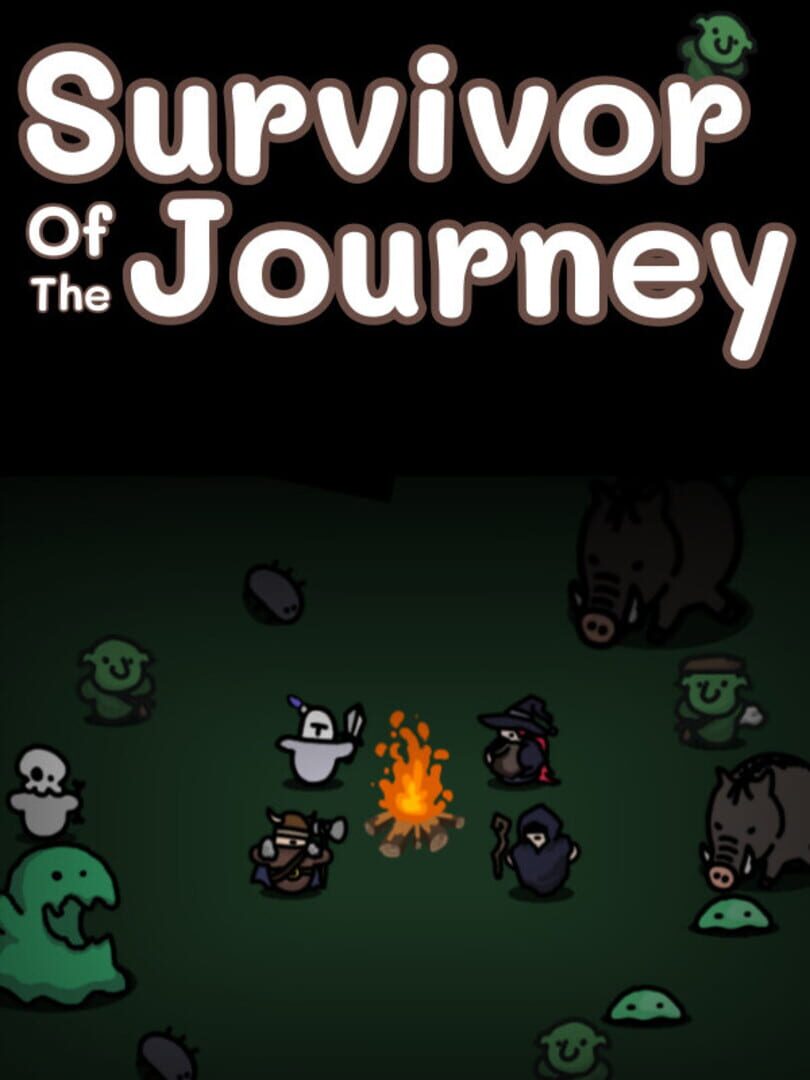 Copertina di Survivor of the Journey