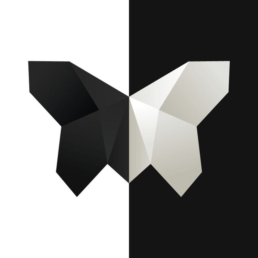 Capa de Symmetry: Path to Perfection