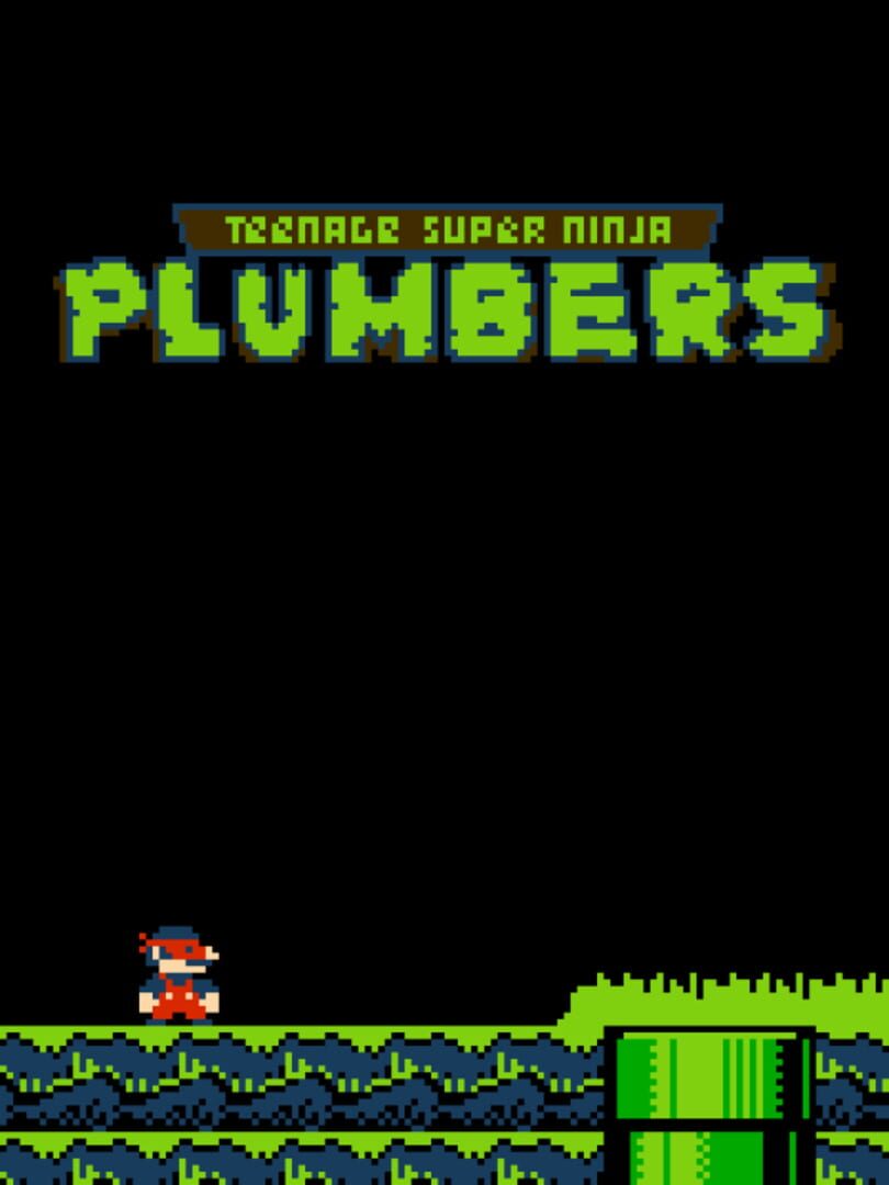 Portada de Teenage Super Ninja Plumbers