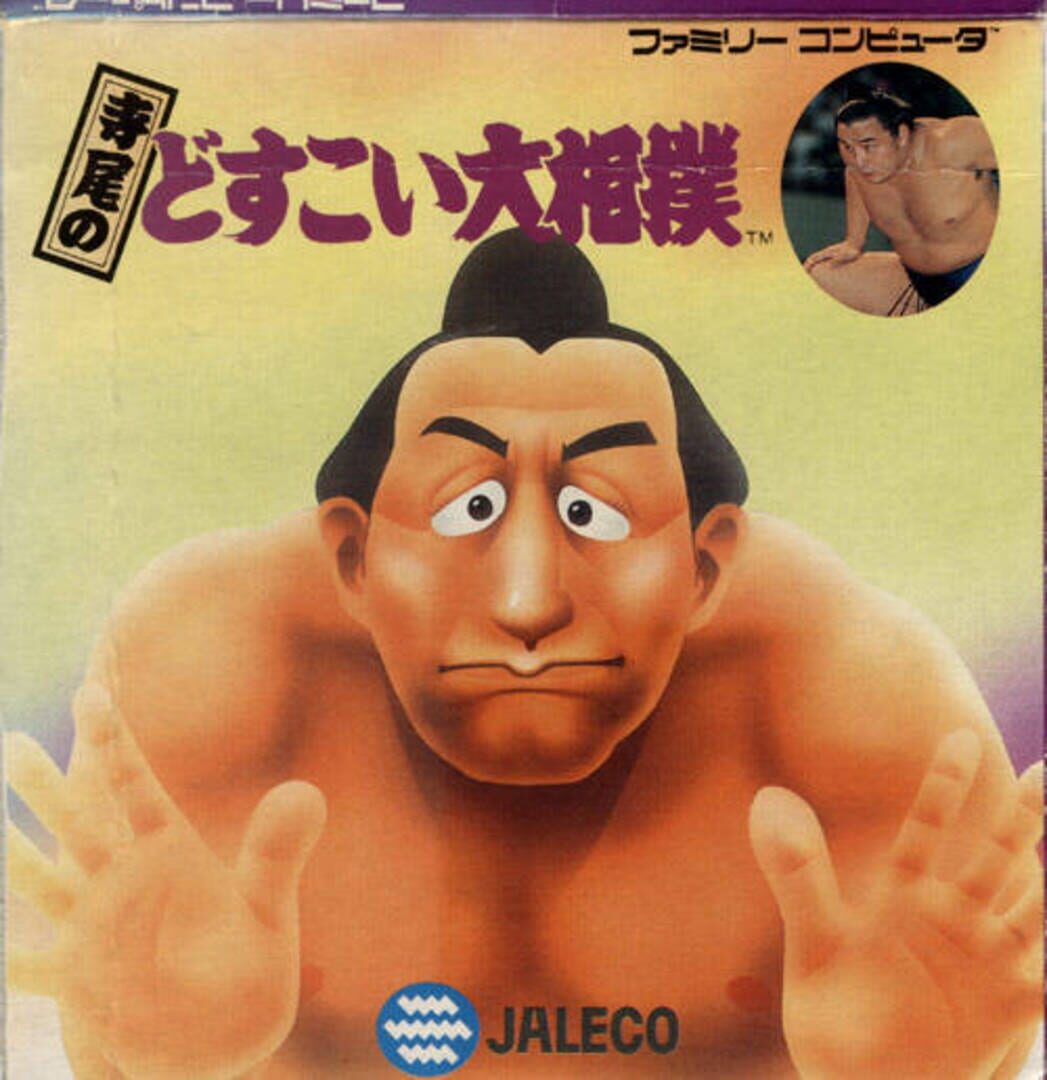 Copertina di Terao no Dosukoi Oozumou