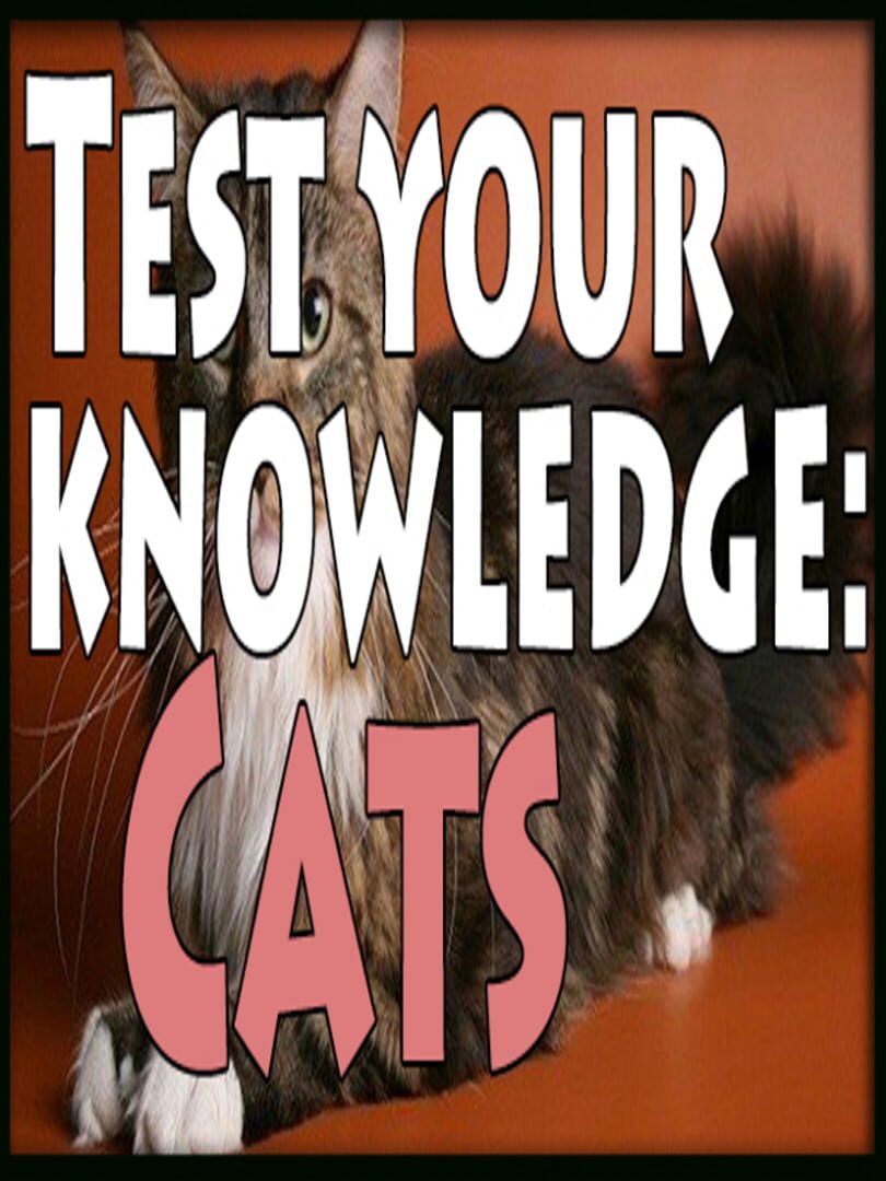 Test Your Knowledge: Cats Kapağı
