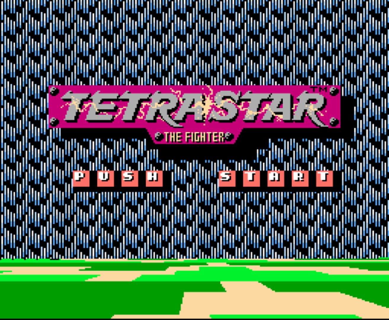 Capa de Tetrastar: The Fighter