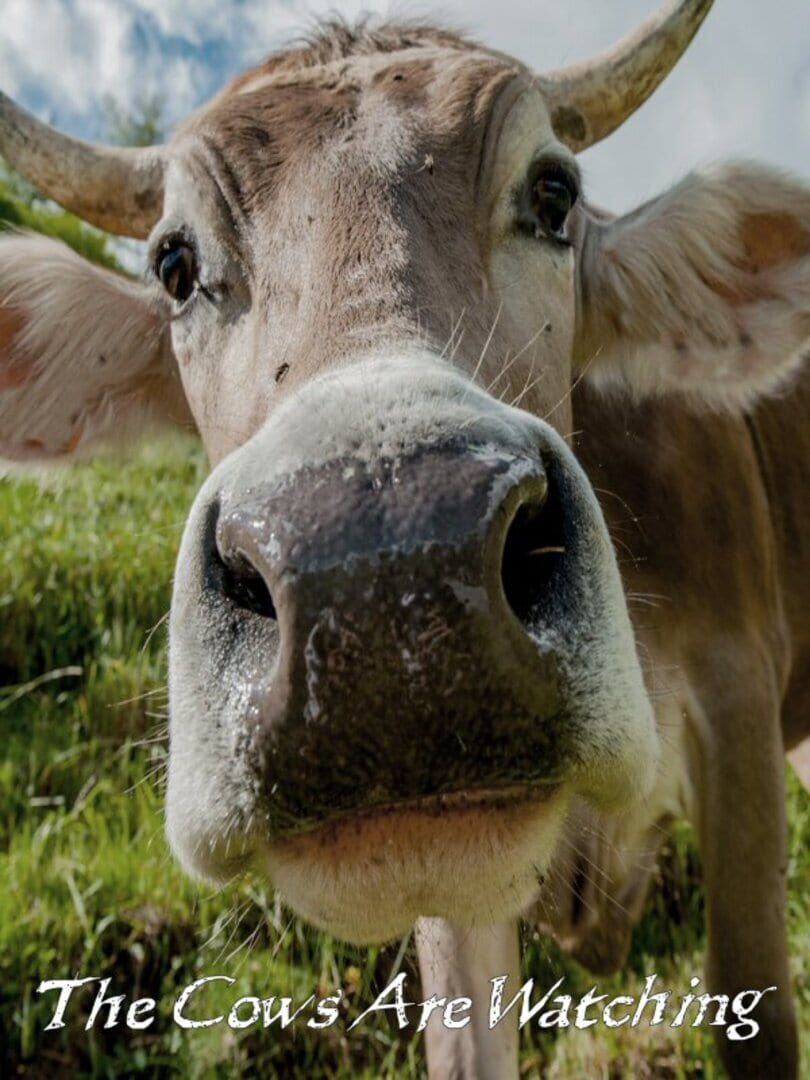 Couverture de The Cows Are Watching