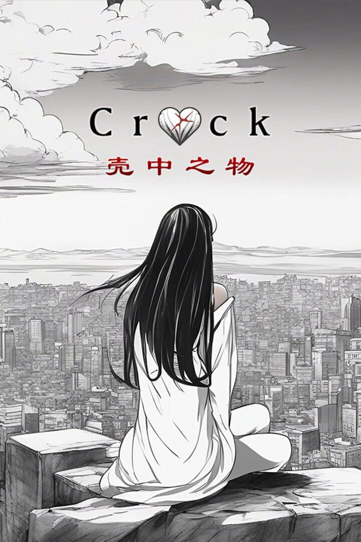 Couverture de The Crack