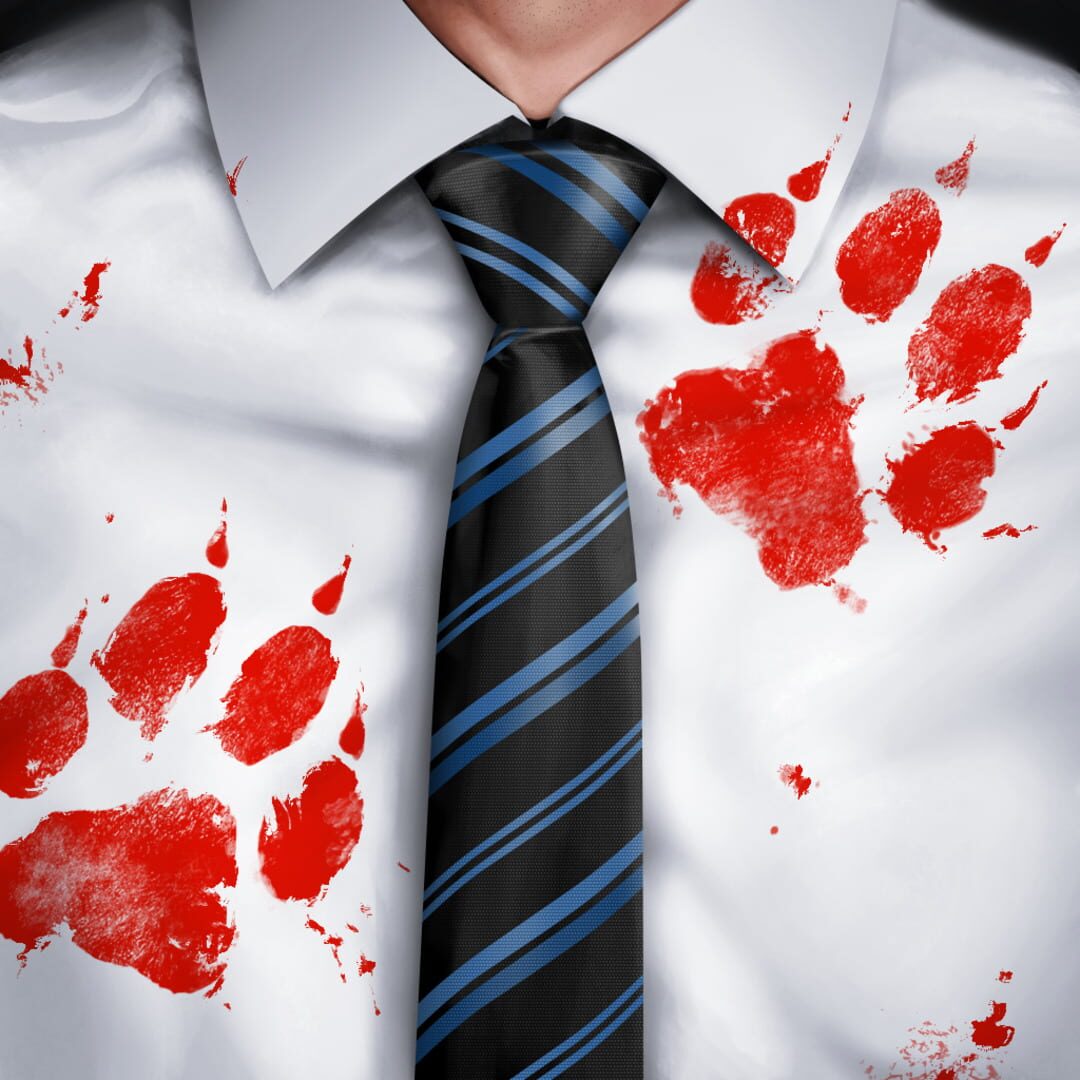 Capa de The Executive
