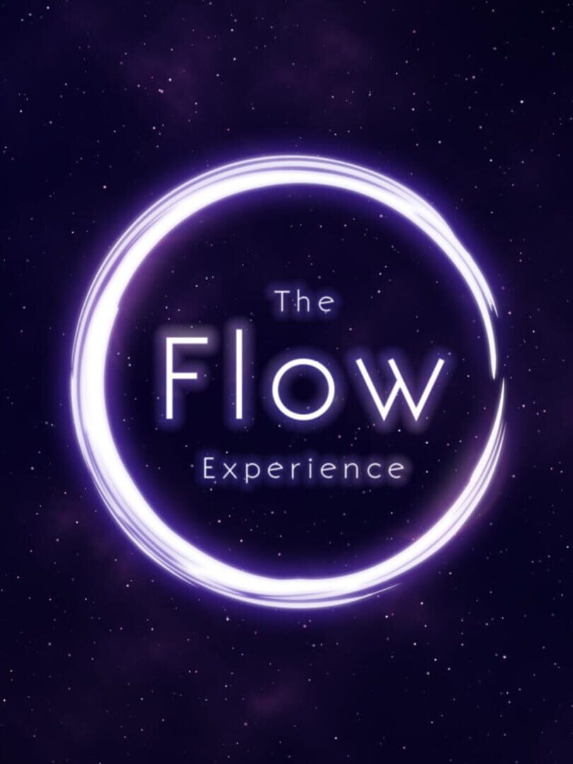 The Flow Experience Kapağı