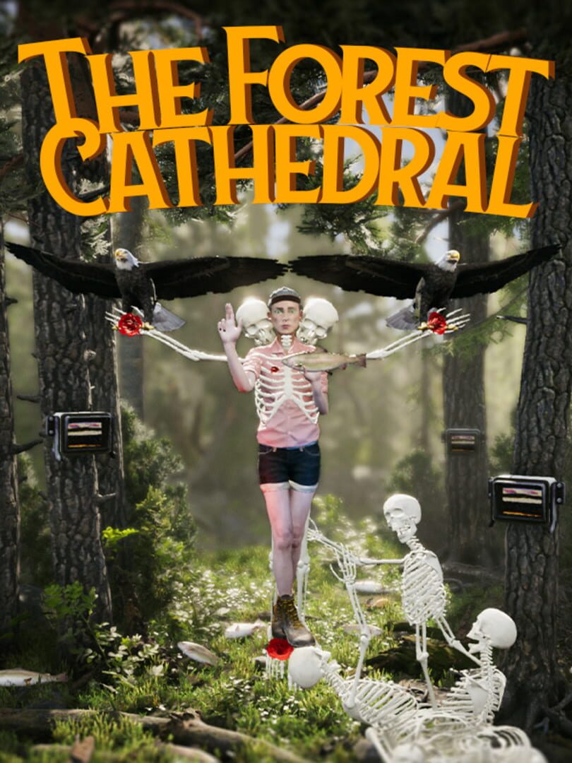 The Forest Cathedral Cover