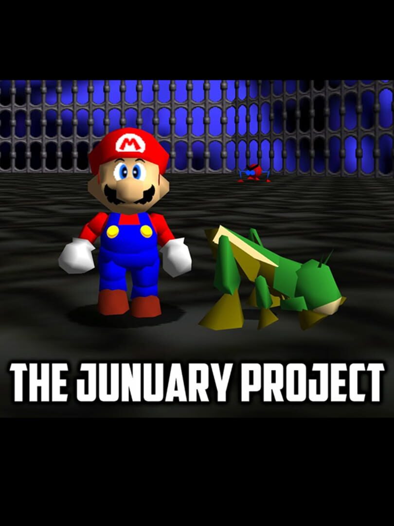 The Junuary Project Kapağı