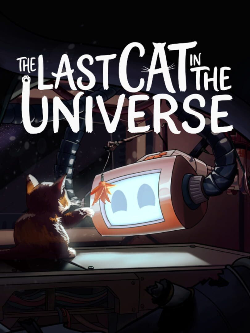The Last Cat in the Universe Cover