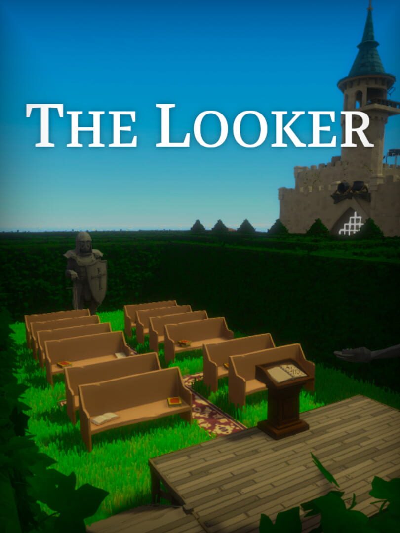 Couverture de The Looker