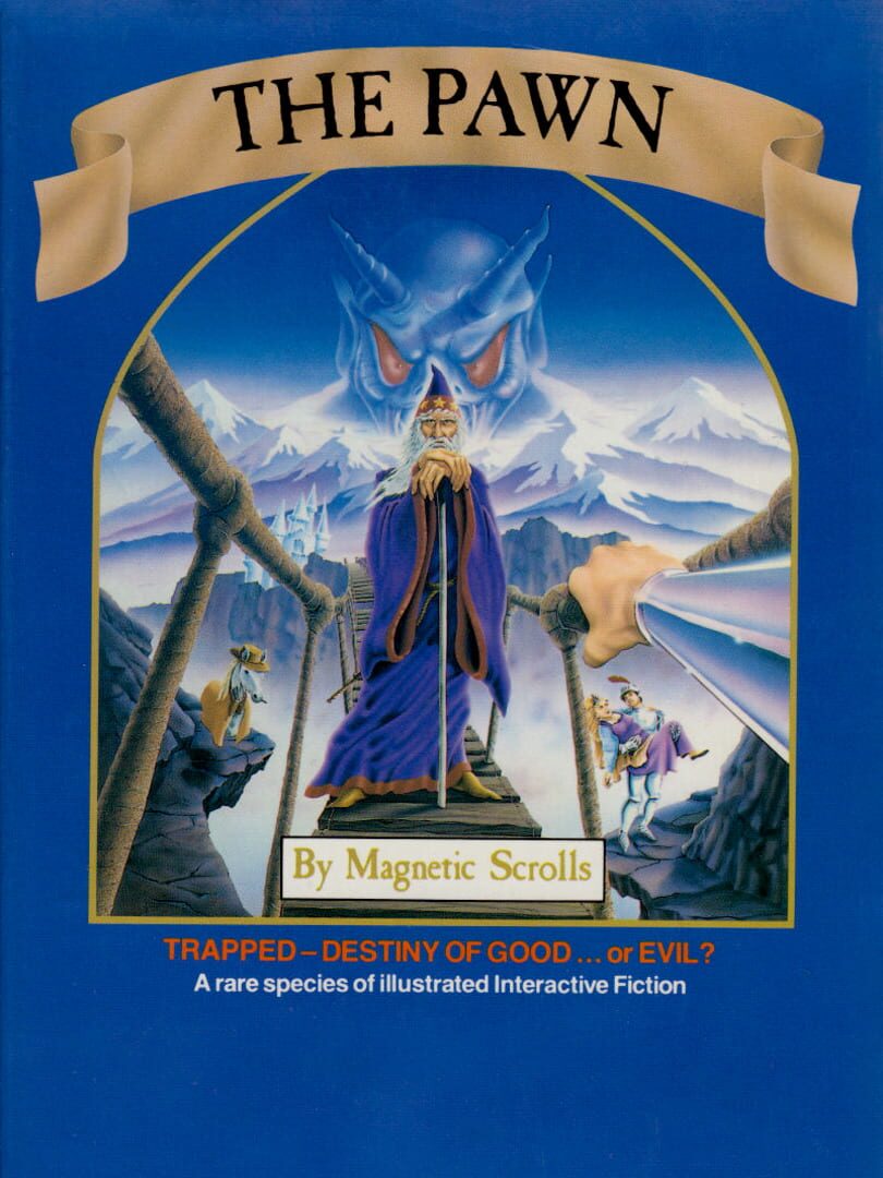 Couverture de The Pawn