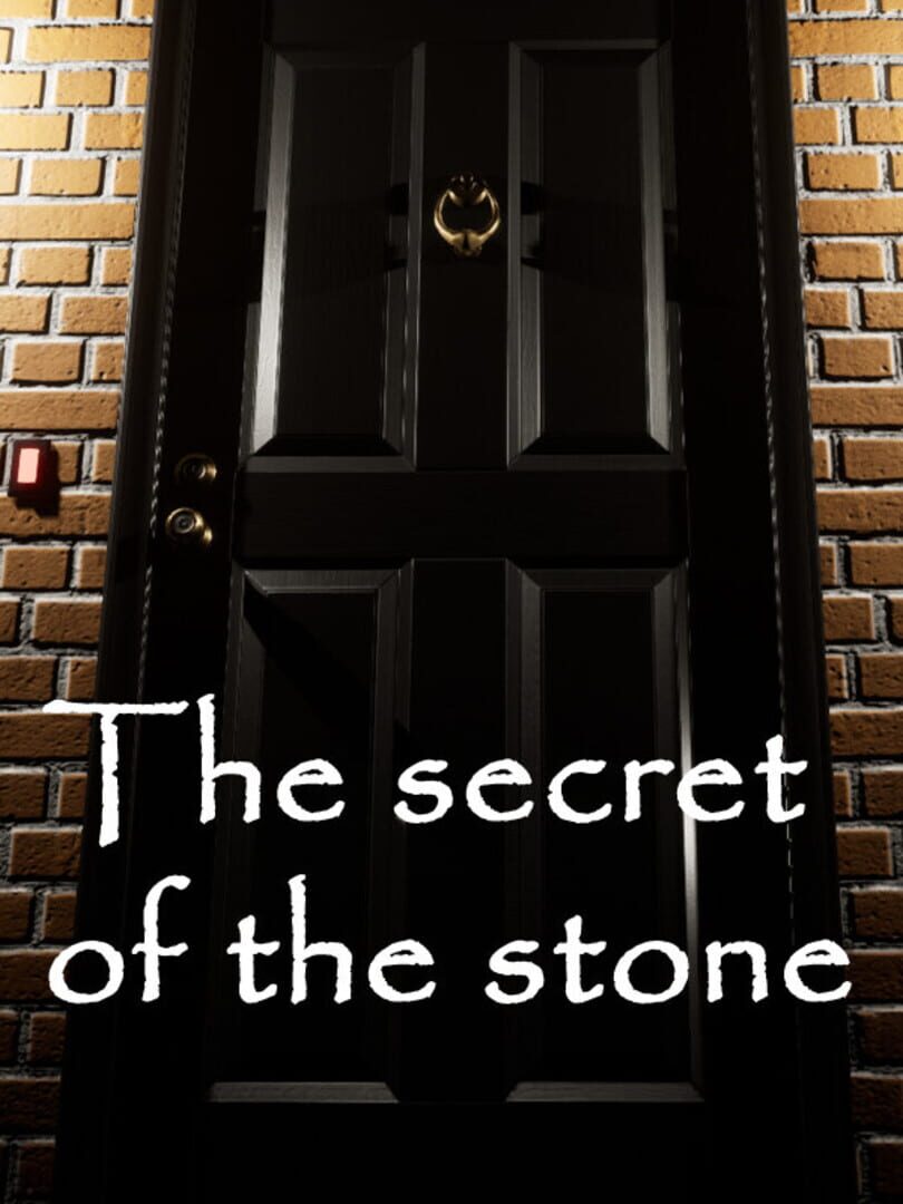 Couverture de The secret of the stone