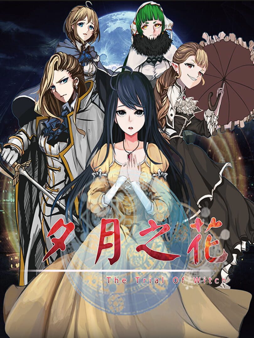 The trial of witch Cover