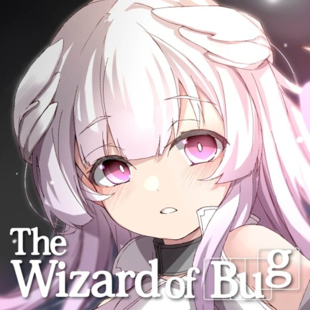The Wizard of Bug Cover