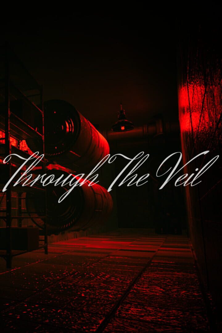 Through the Veil 커버