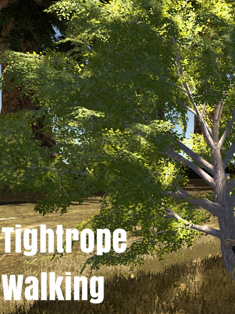 Couverture de Tightrope Walking