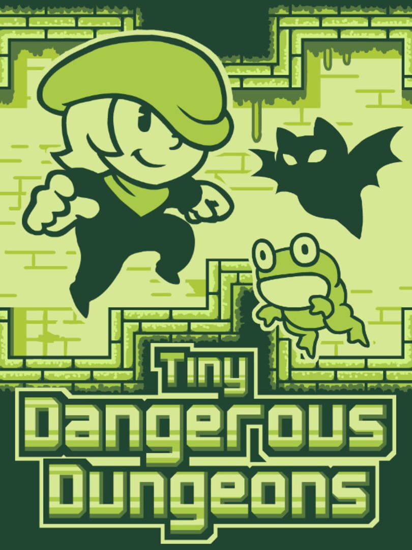 Tiny Dangerous Dungeons カバー