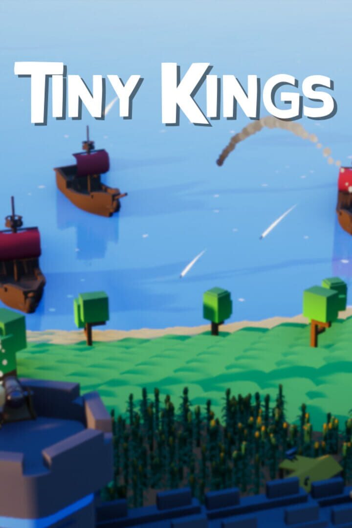 Tiny Kings Cover